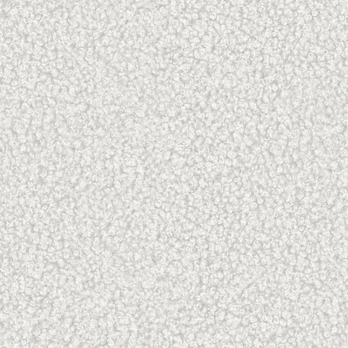 Alpaca 01