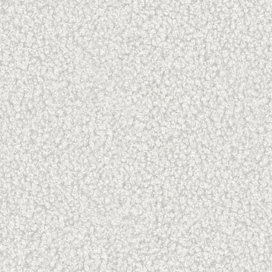 Alpaca 01