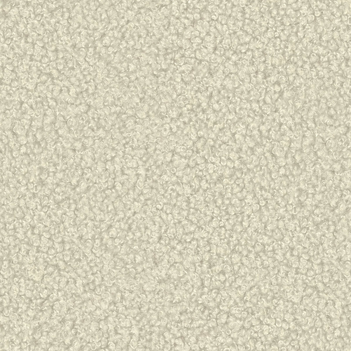 Alpaca 02
