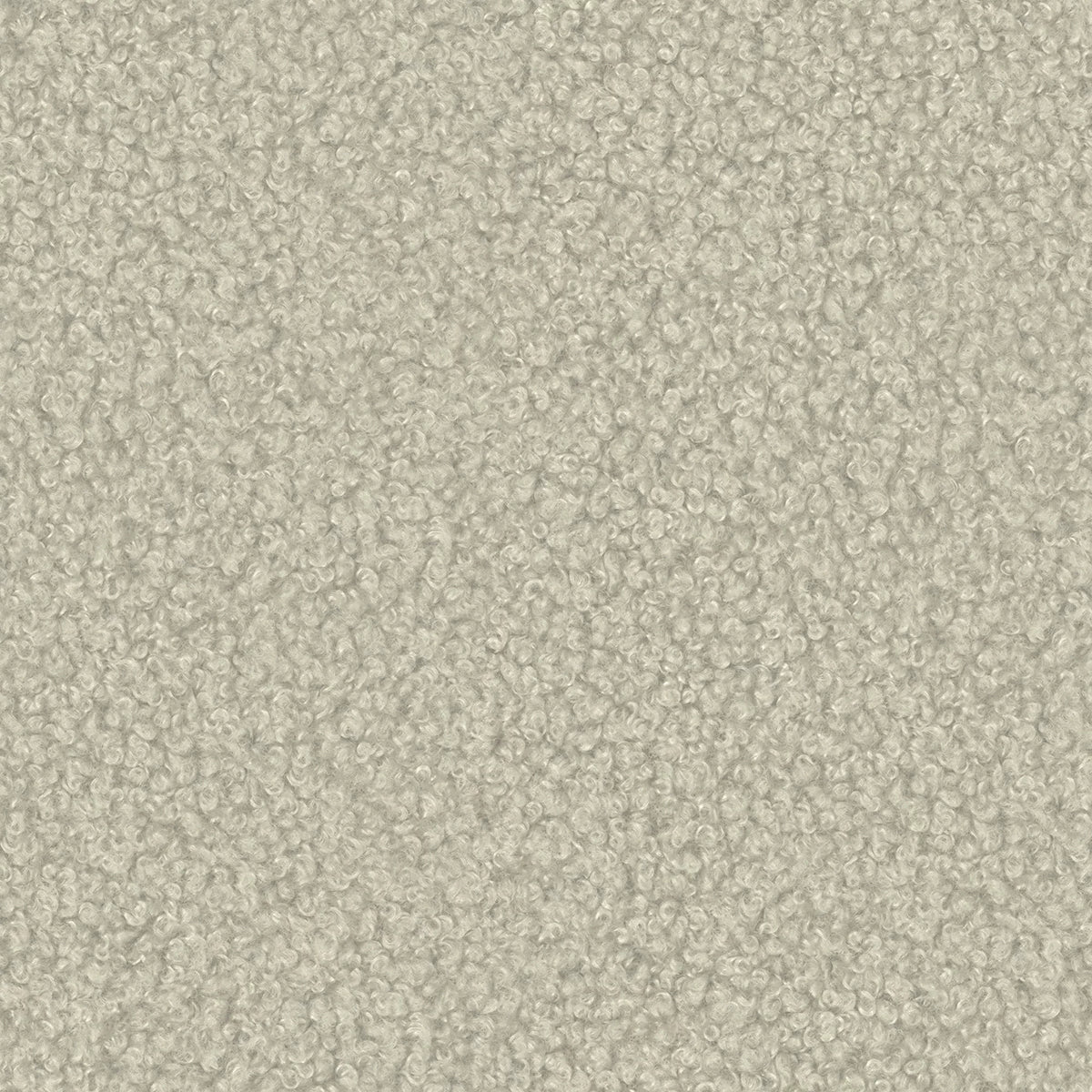 Alpaca 03