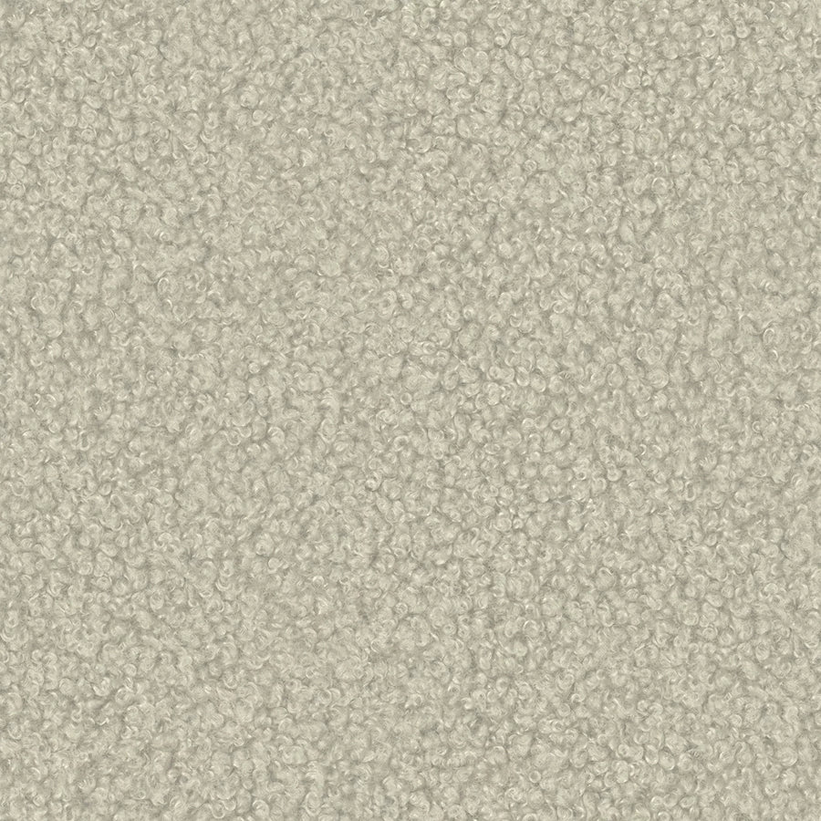 Alpaca 03