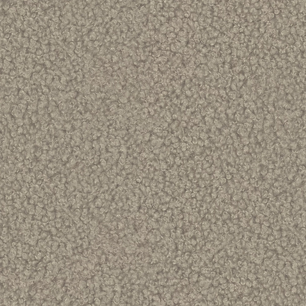 Alpaca 05
