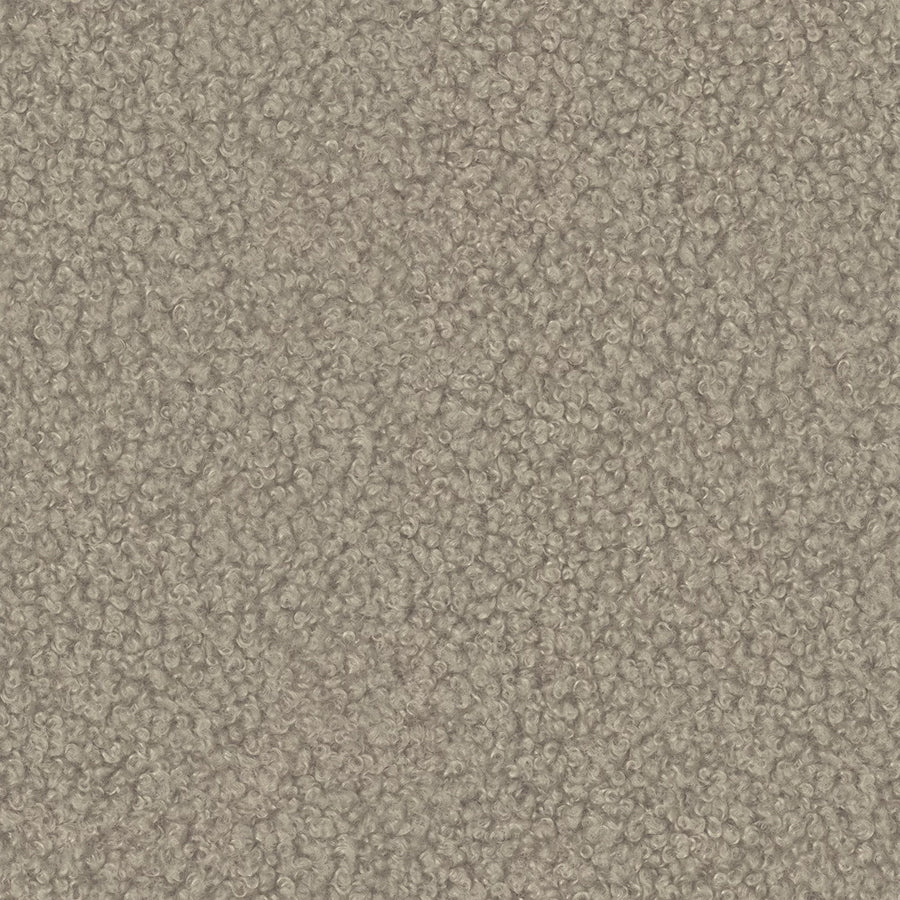Alpaca 05