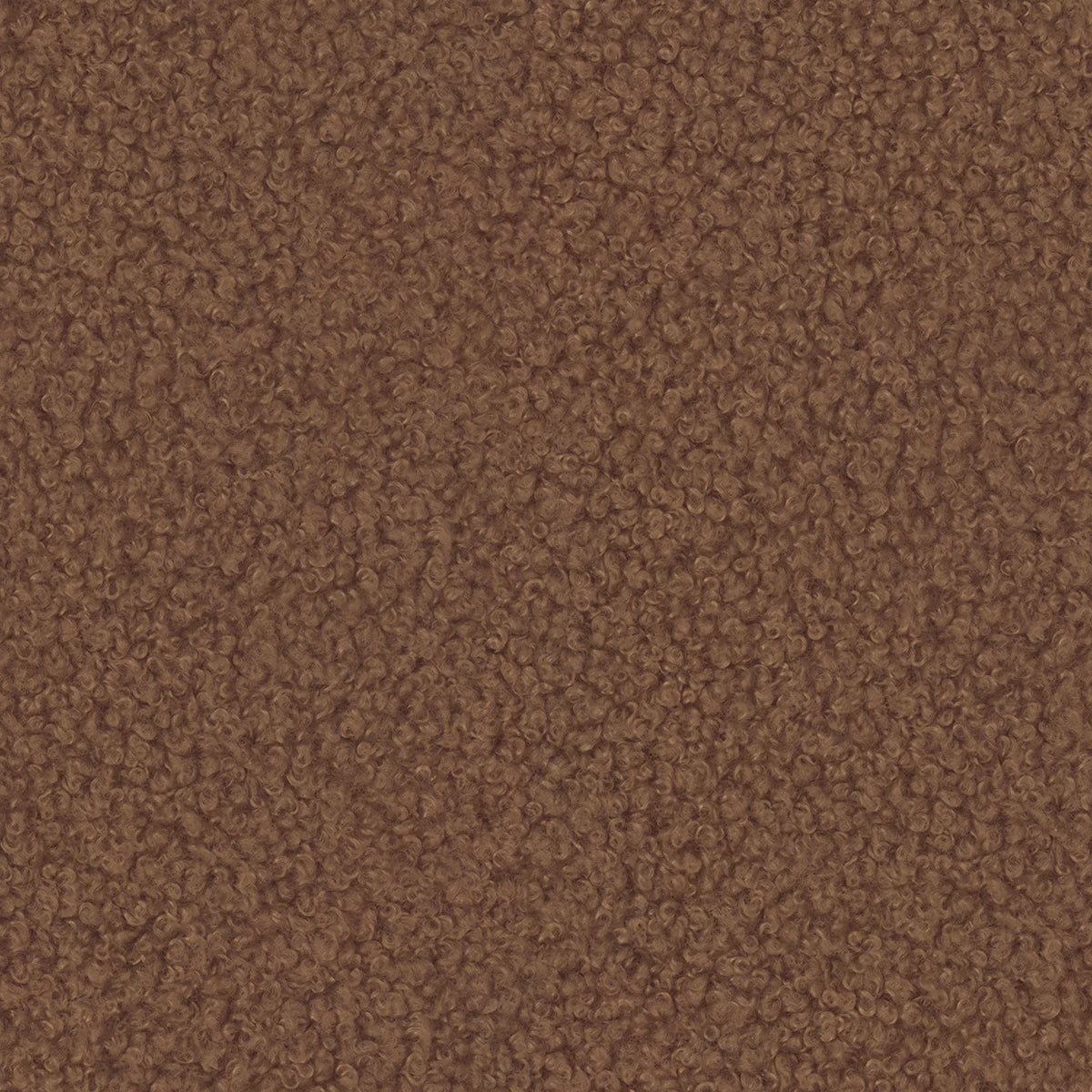 Alpaca 54
