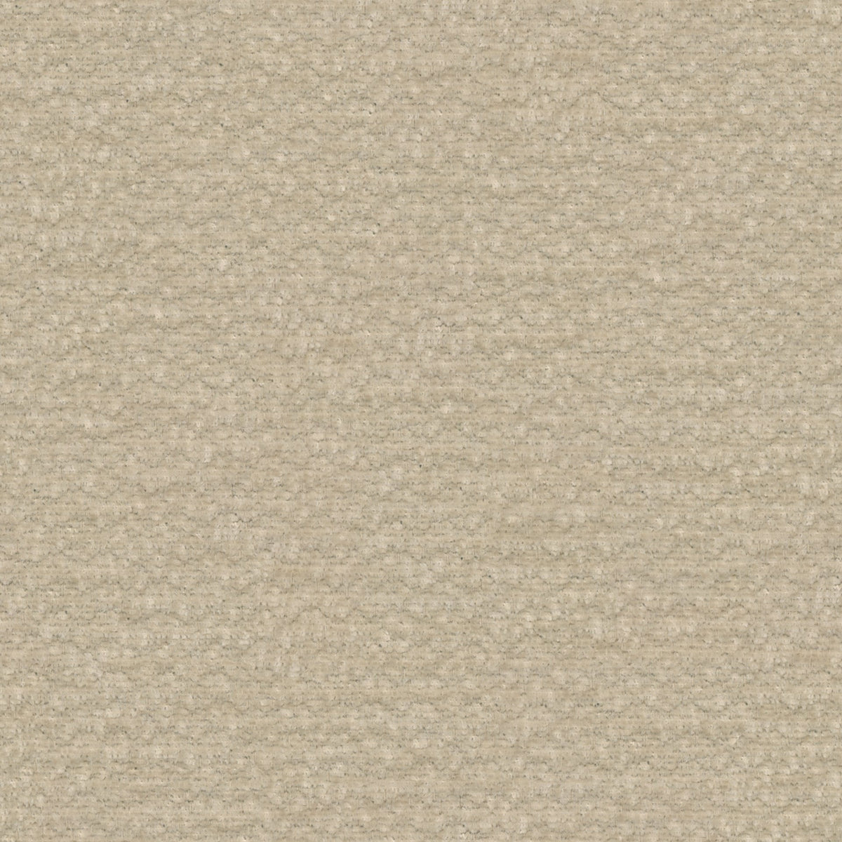 Terra 06