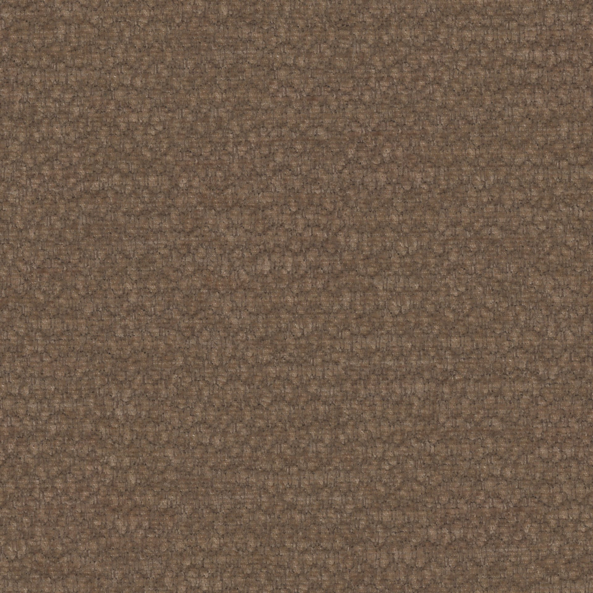 Terra 19