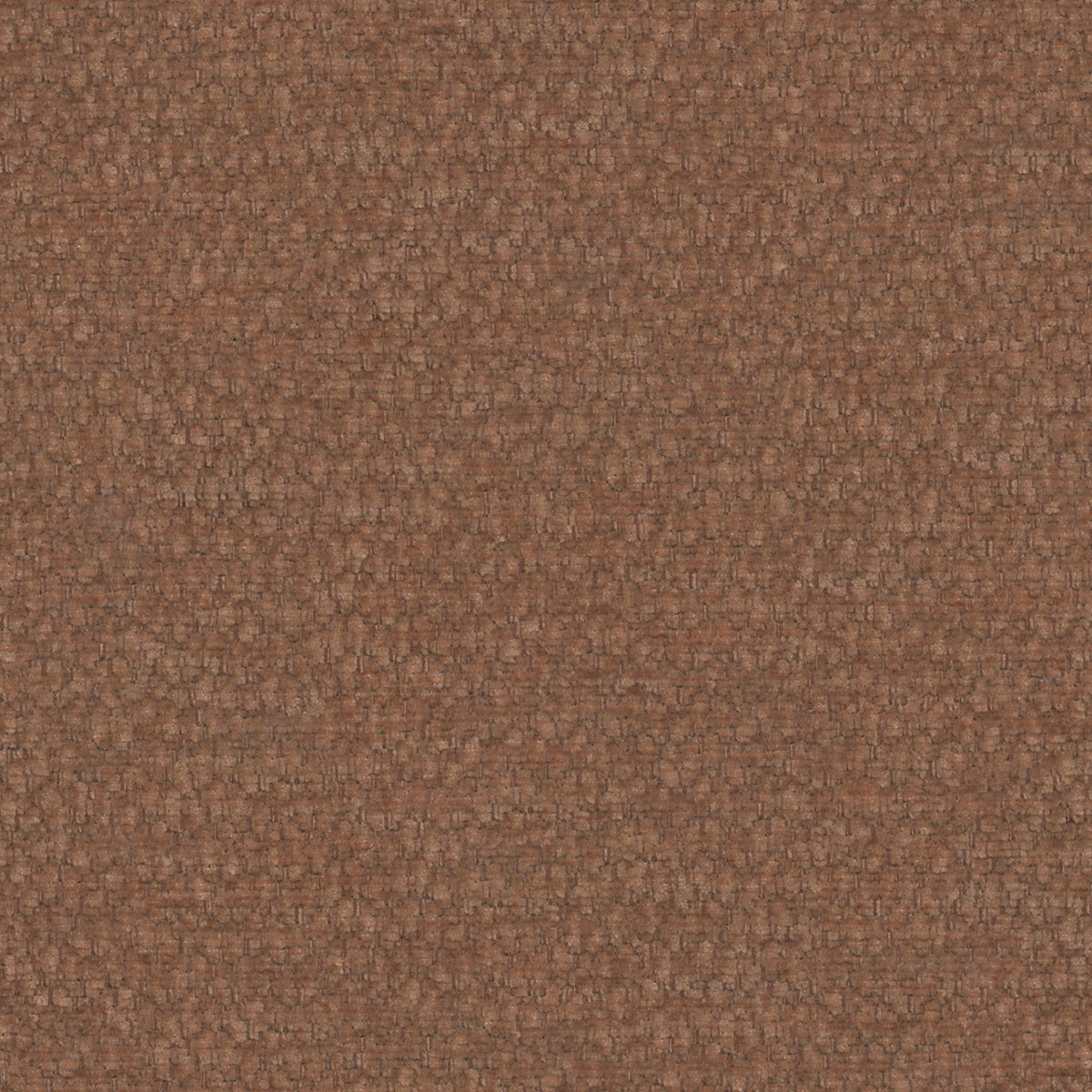 Terra 52