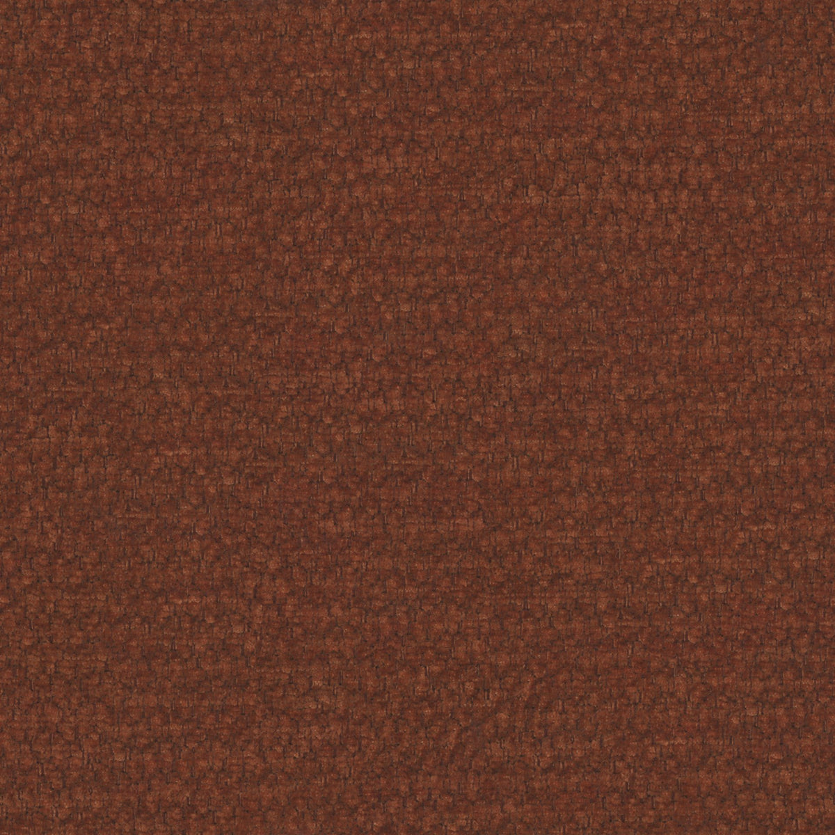 Terra 56