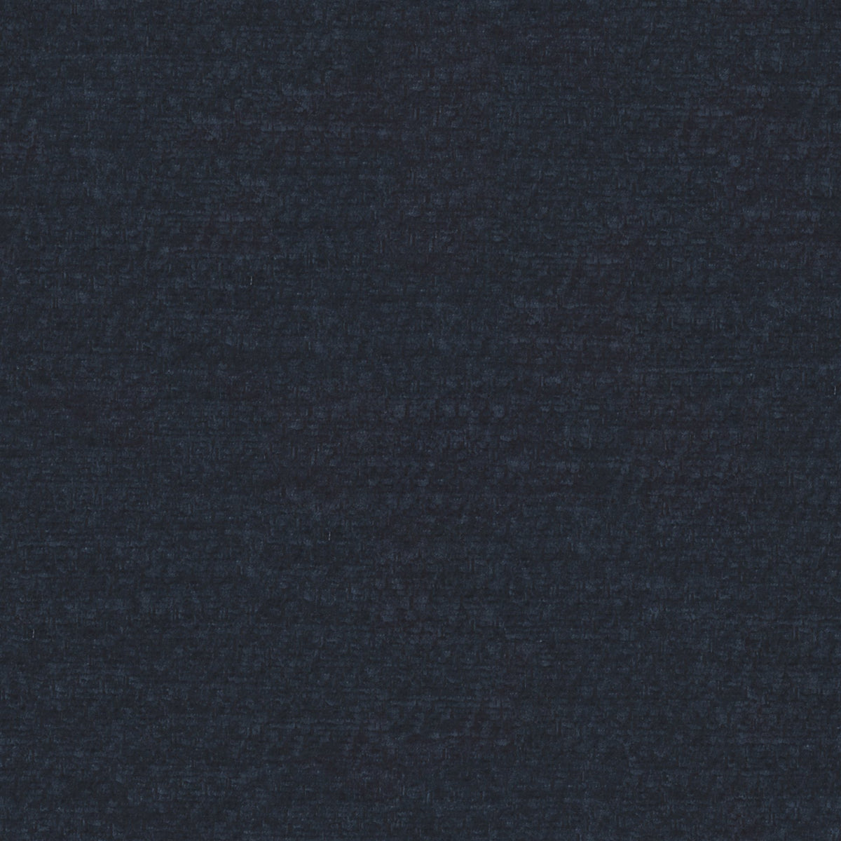 Terra 79